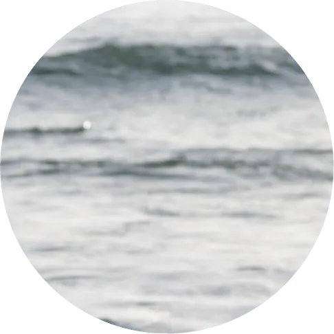 セルフマネジメント研修