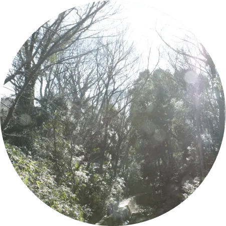 クリフトンストレングス®研修